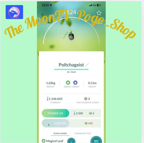 Pokémon poltchageist forma - pokémon,